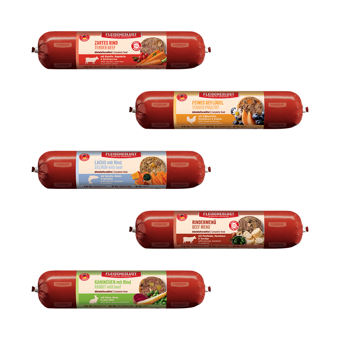 Fleischeslust Mixed Assortment Wet Dog Food - 16 x 400g Case product image