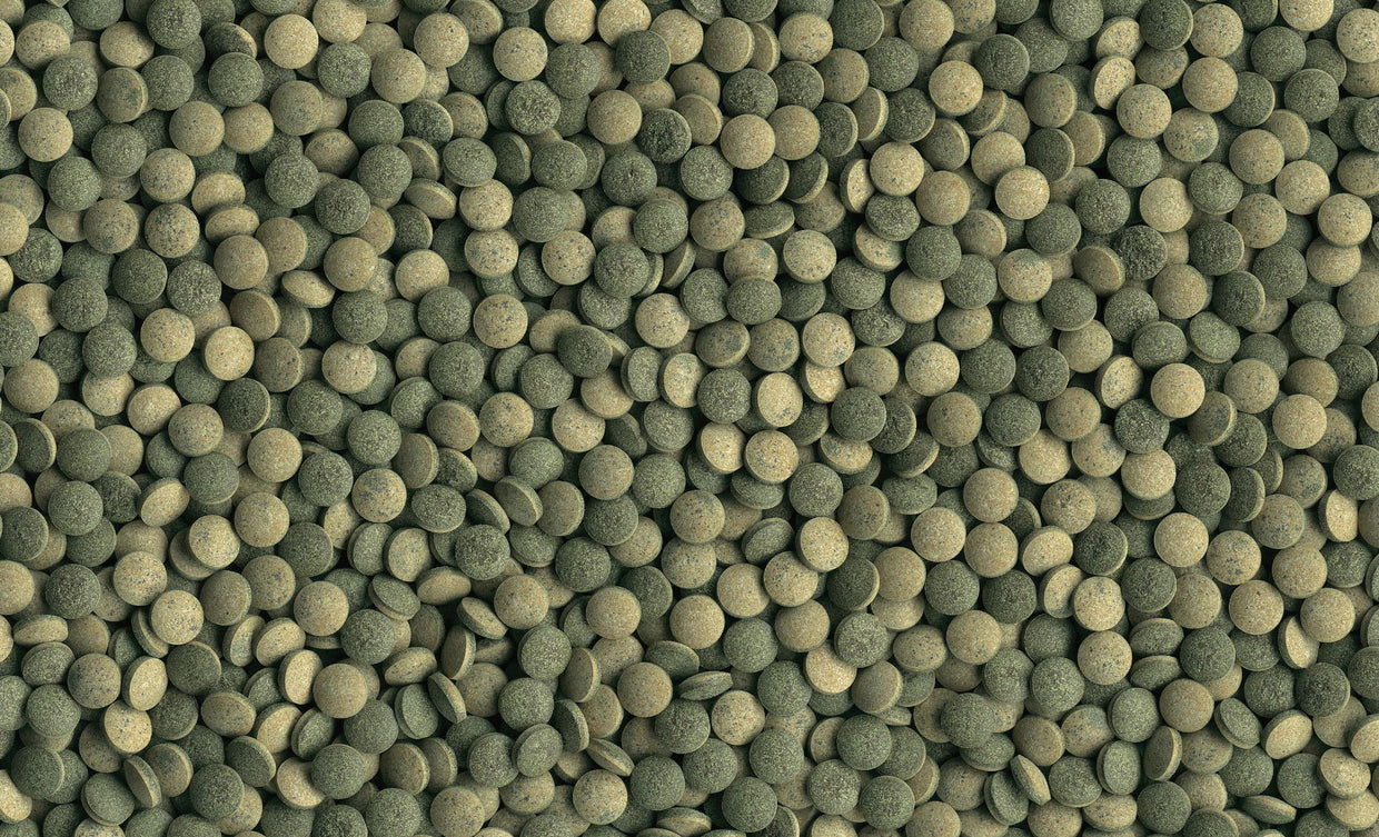 Pleco Tablets