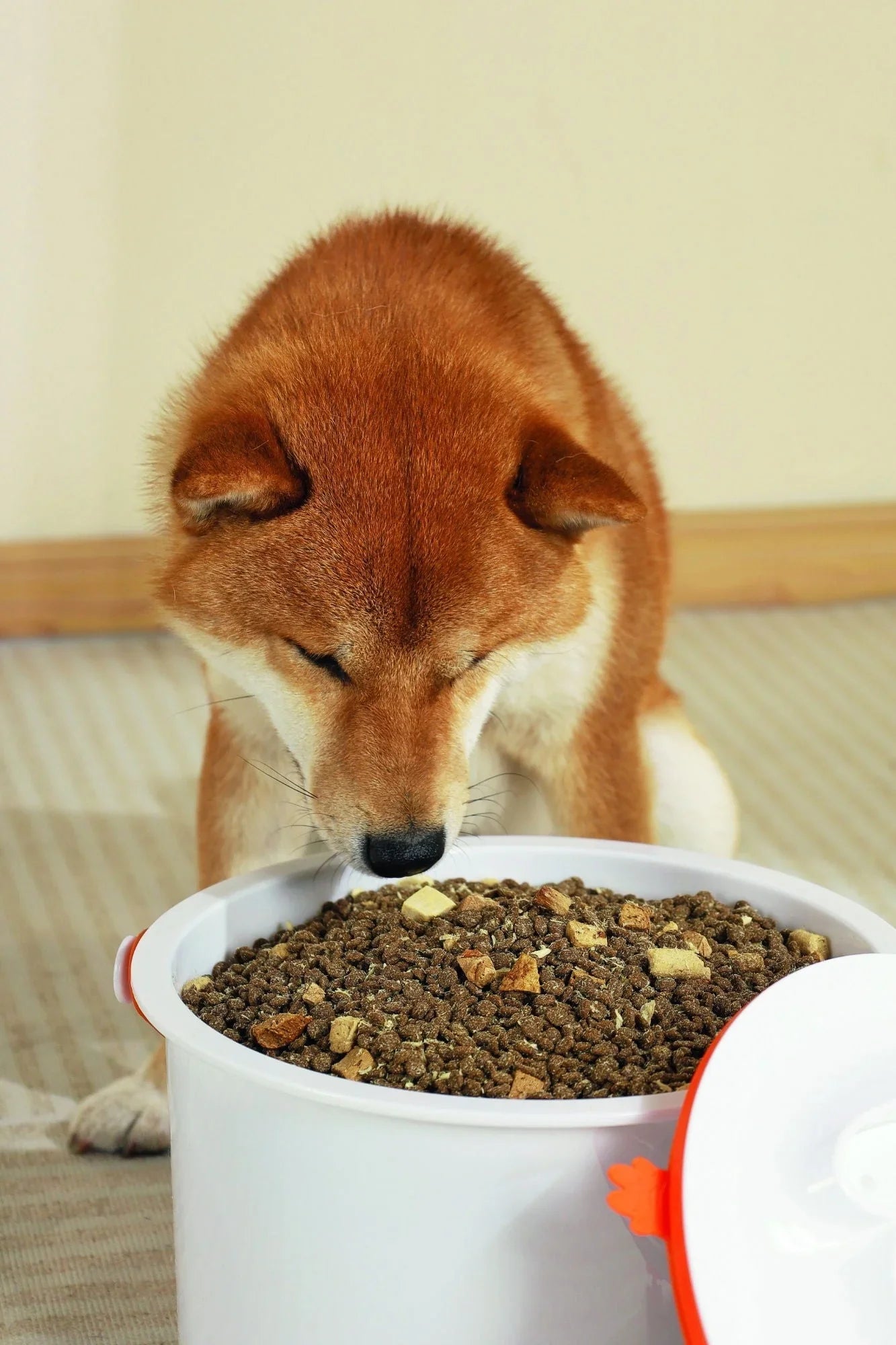 M-PETS Vacuufresh Vacuum Food Storage Container - 7.5 L