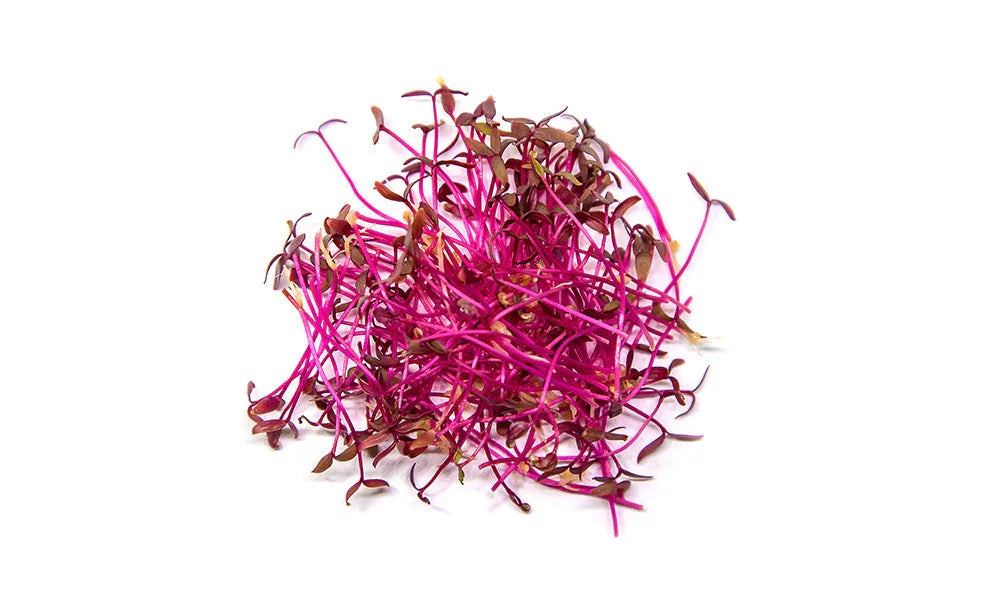Micro Red Amaranth (30g)