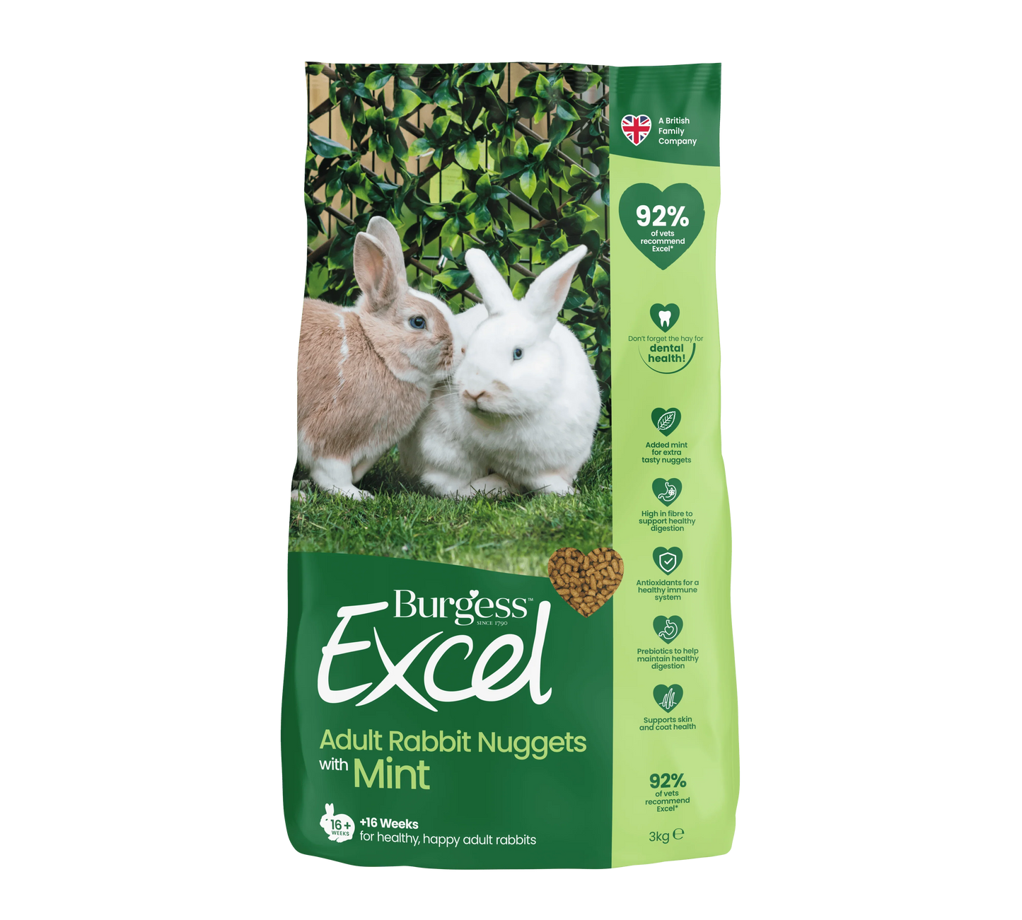Burgess Excel Adult Rabbit Nuggets Mint 10kg - North East Pet Shop Burgess