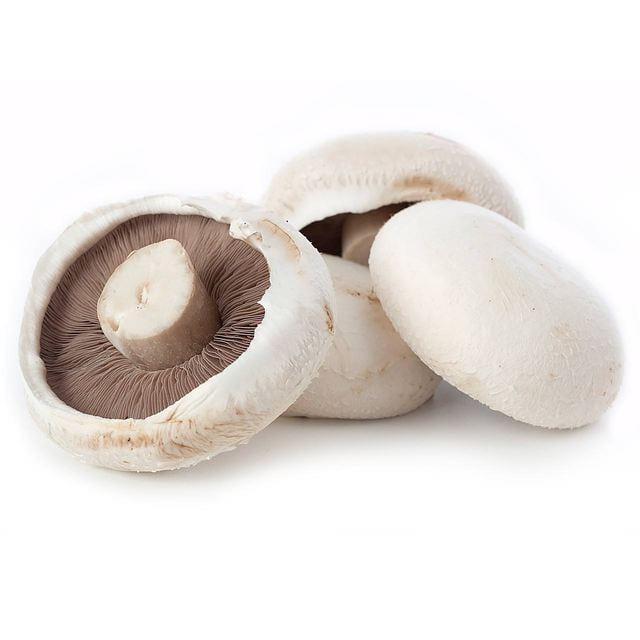 Flat Mushroom