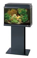 Flat Pack Stand Rekord 600/700 Korall 60 Beech 51x31x63cm - North East Pet Shop Rekord