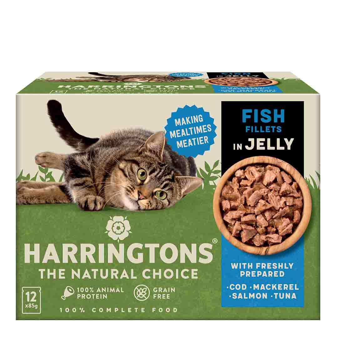 Harringtons Wet Cat Fish Selection in Jelly 12 x 85g