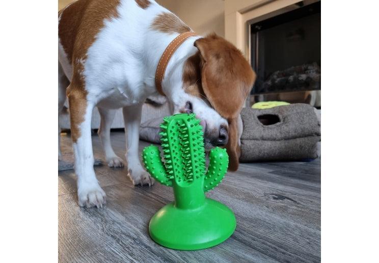 Orva Cactus Toothbrush - North East Pet Shop Ancol