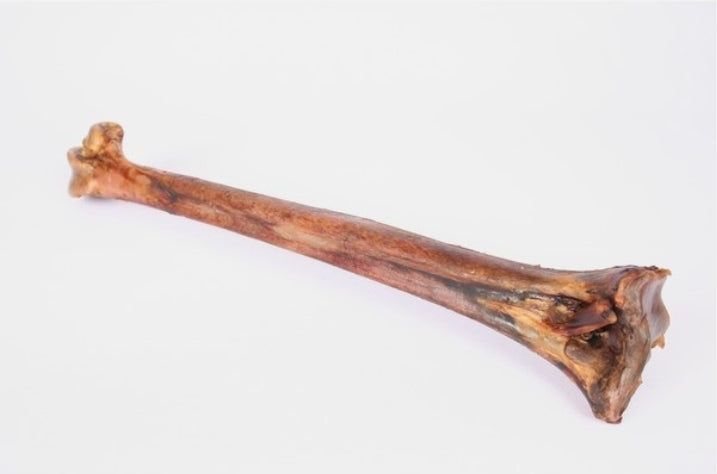 Doodles Deli Air Dried Ostrich Mini Caveman Bone