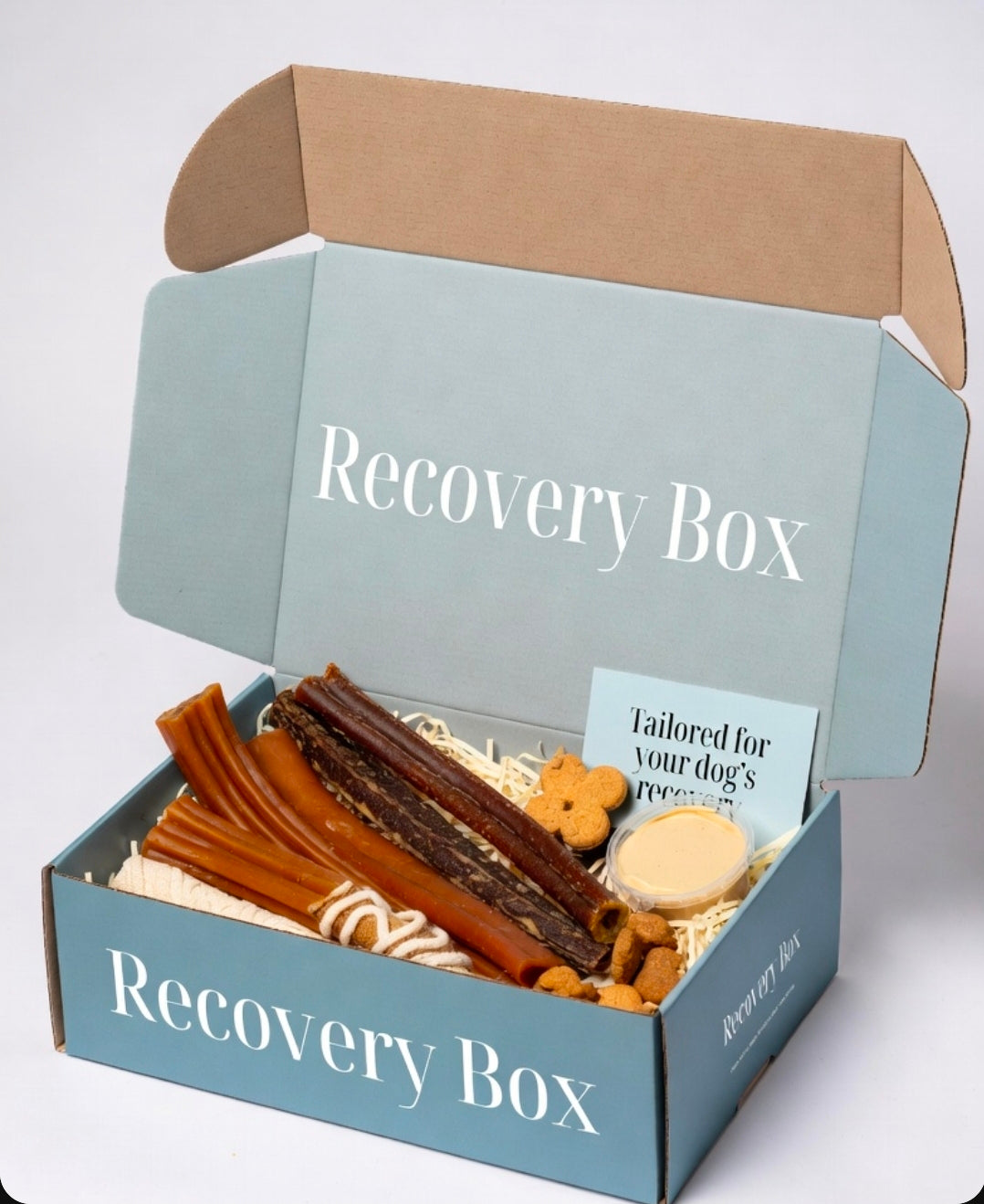Dog Recovery box