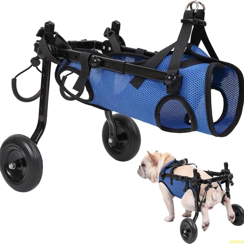 Small Dog Wheelchair – North East Pets