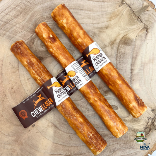 Chewllagen Chicken Roll 10" (Pack of 15)