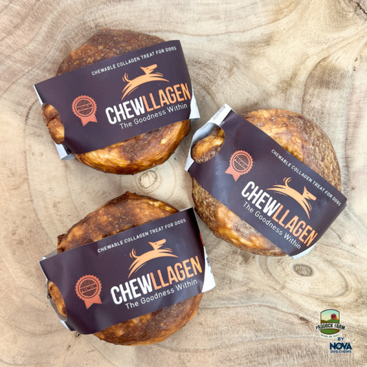 Chewllagen Chicken Small Donut 3.5" (Pack of 15)