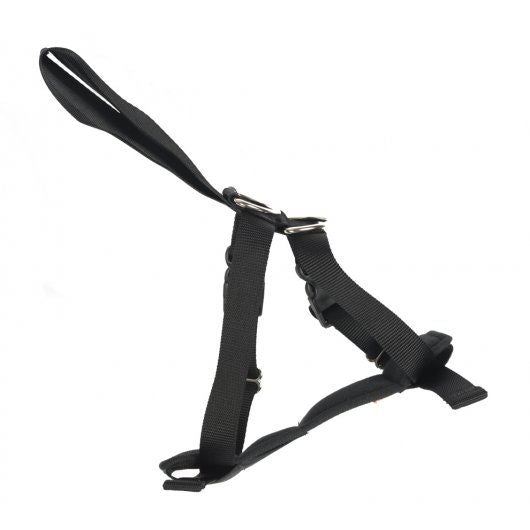 RAC 2 In 1 Car Harness Medium Max Chest 41-58cm (16-23")