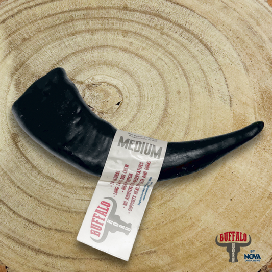 Nova Dog Chews 0713153926973 (Buffalo Horn Medium)