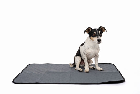 M-PETS Washable Training Pad