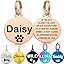 Personalised Pet Tag - Stainless Steel - Scratch Resistant