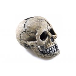 Classic Spooky Skull 8.5cm – Case of 4