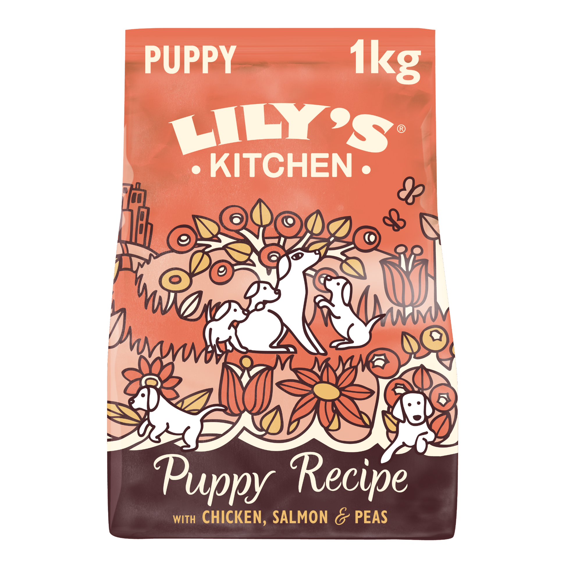 Lily's Kitchen Puppy Chicken/ Salmon GrainFree Recipe 1kg