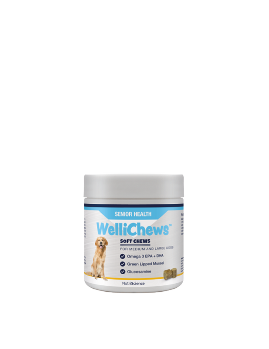 Wellichew Senior Health Chews Medium/Large Dogs - 60 Chews 120g
