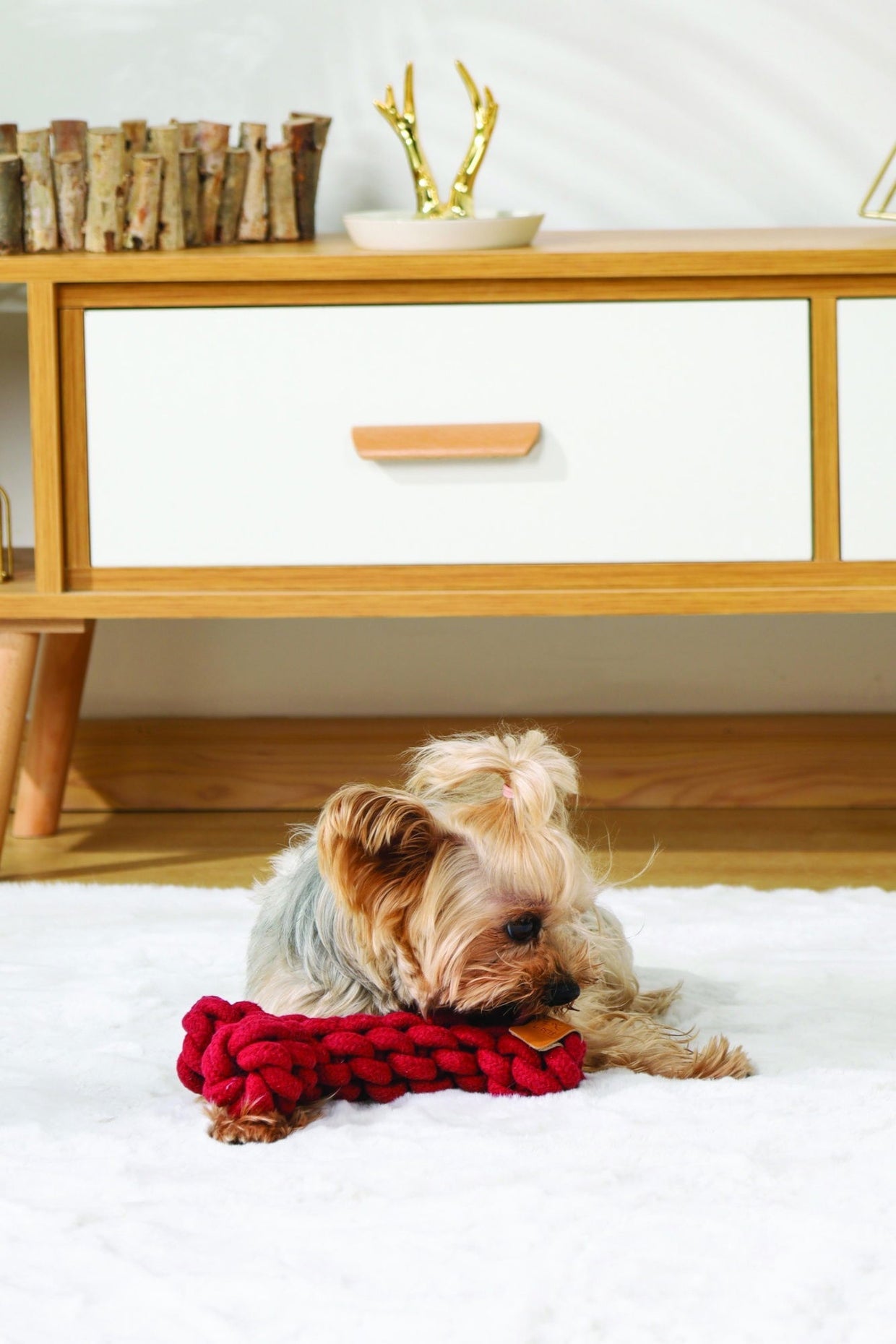 M-PETS Coto Eco Rope Dog Toys Red Bone