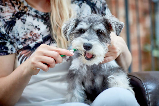 Vet''s Best Triple headed Toothbrush For Dogs