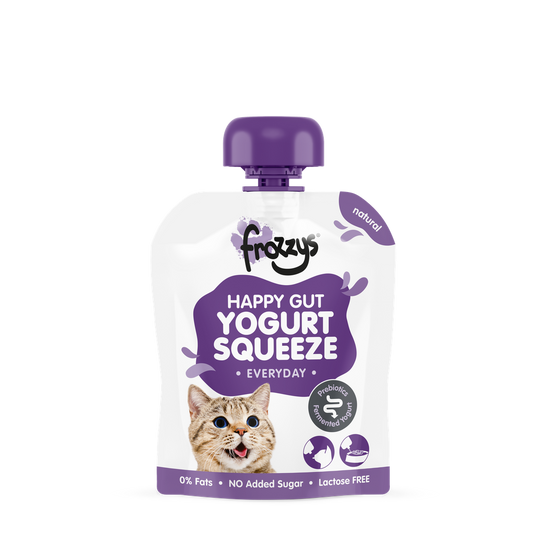 Frozzys Yogurt Squeeze Pouch Cat Natural 85g