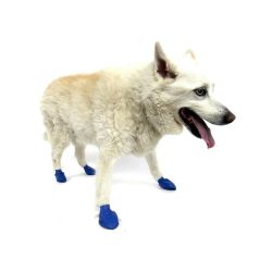 Pawz Dog Boots Blue Medium 12 Pack