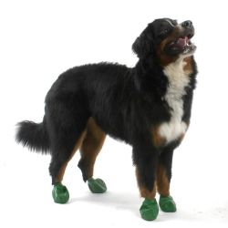 Pawz Dog Boots Green XL 12 Pack