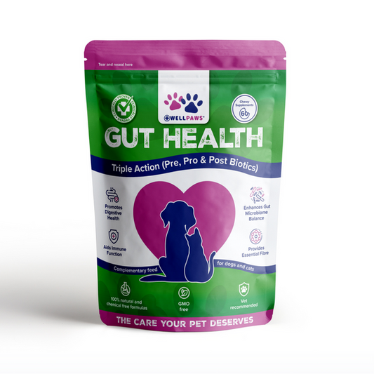 WellPaws Gut Health Triple Action Chewable 180g
