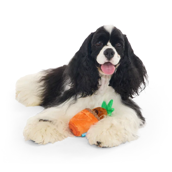 Bark Harry Potter Mandrake