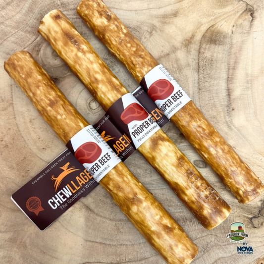 Chewllagen Beef Roll 10" (Pack of 15)