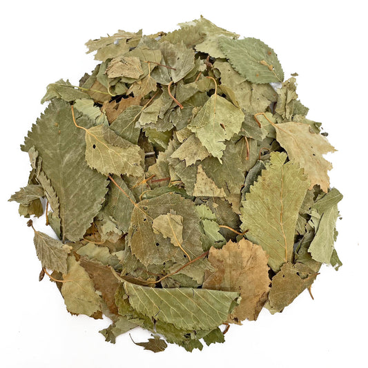 Dried birch leaves for North East Pets Birch Leaves Grazing Bag – 100g