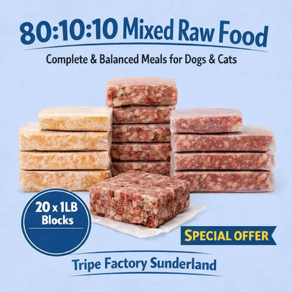 Tripefactory Sunderland - 20lb 80:10:10 (Full Box) - Raw Dog & Cat Food