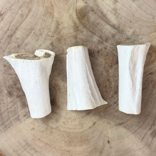 Nova Dog Chews Filled Sterilised Bones Meaty — Case of 20