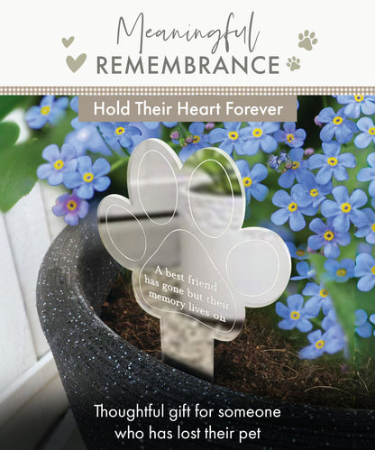 Paw Print Memorial Garden Plant Marker & Forget Me Not Seeds