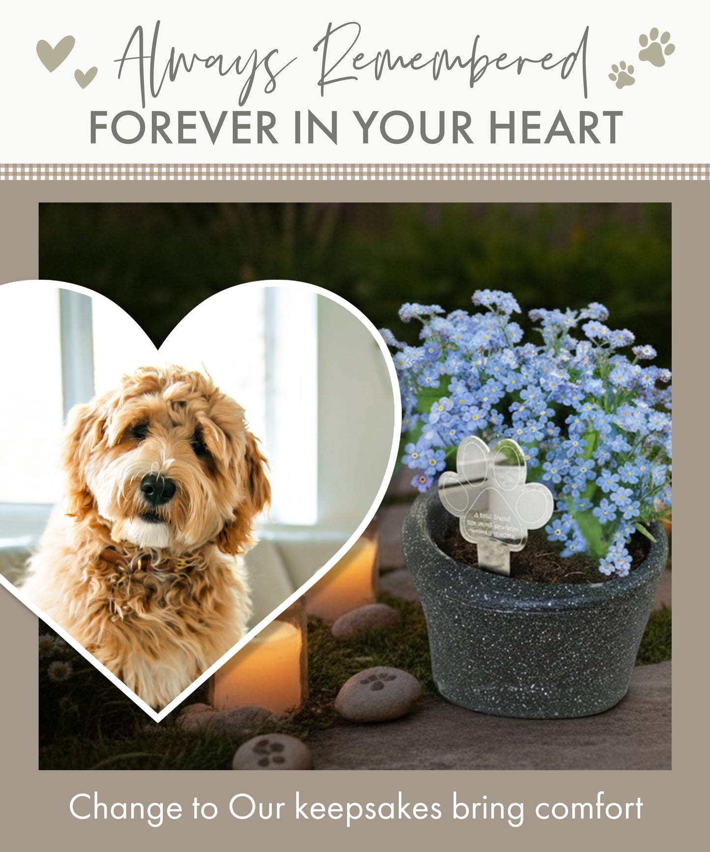 Paw Print Memorial Garden Plant Marker & Forget Me Not Seeds
