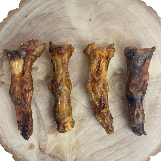 Nova Dog Chews Ostrich Foot Large