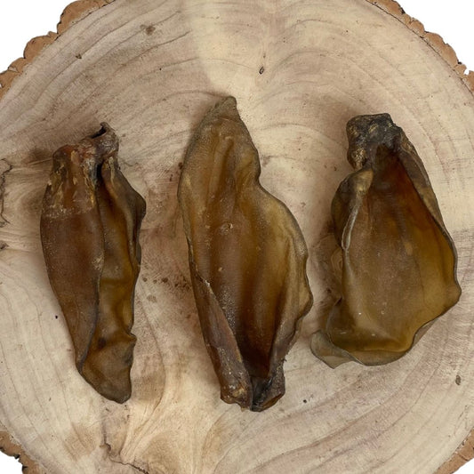 Nova Dog Chews 607128417163 (Buffalo Ears Large)