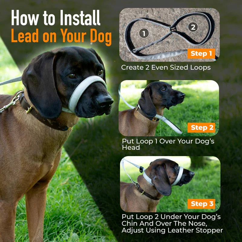 Total Pet Swivel Flat Figure 8 Dog Lead 210cm - RSP £23.99