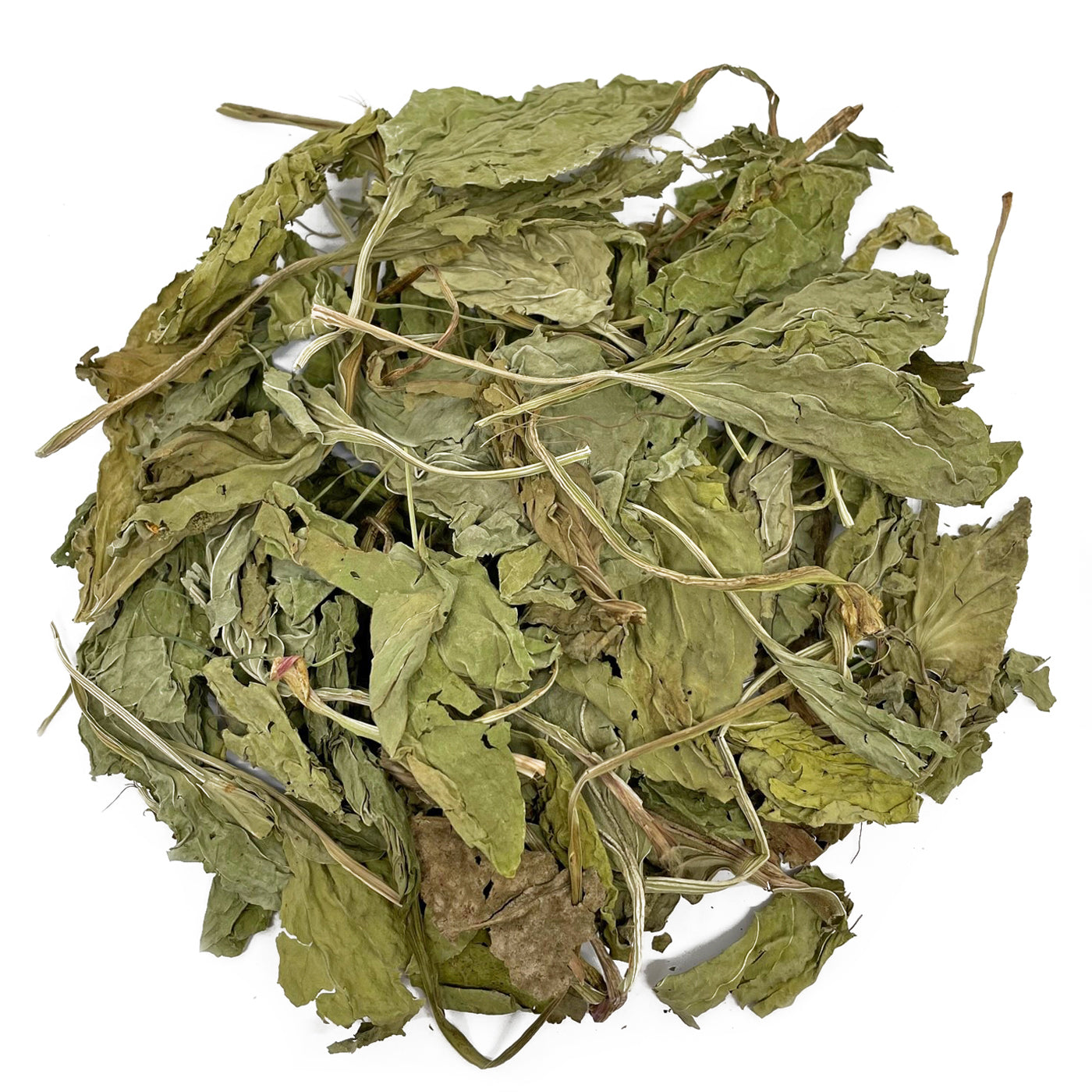 Dried plantain leaves for North East Pets Plantain Leaves Grazing Bag – 100g