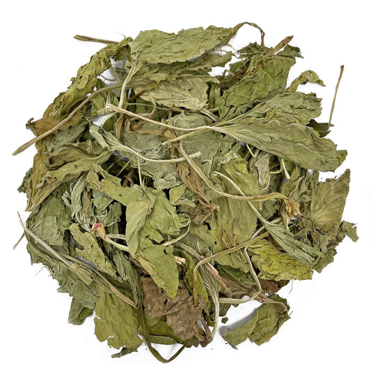 Dried plantain leaves for North East Pets Plantain Leaves Grazing Bag – 100g