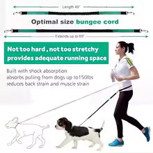 Hands Free Dog Walking Lead
