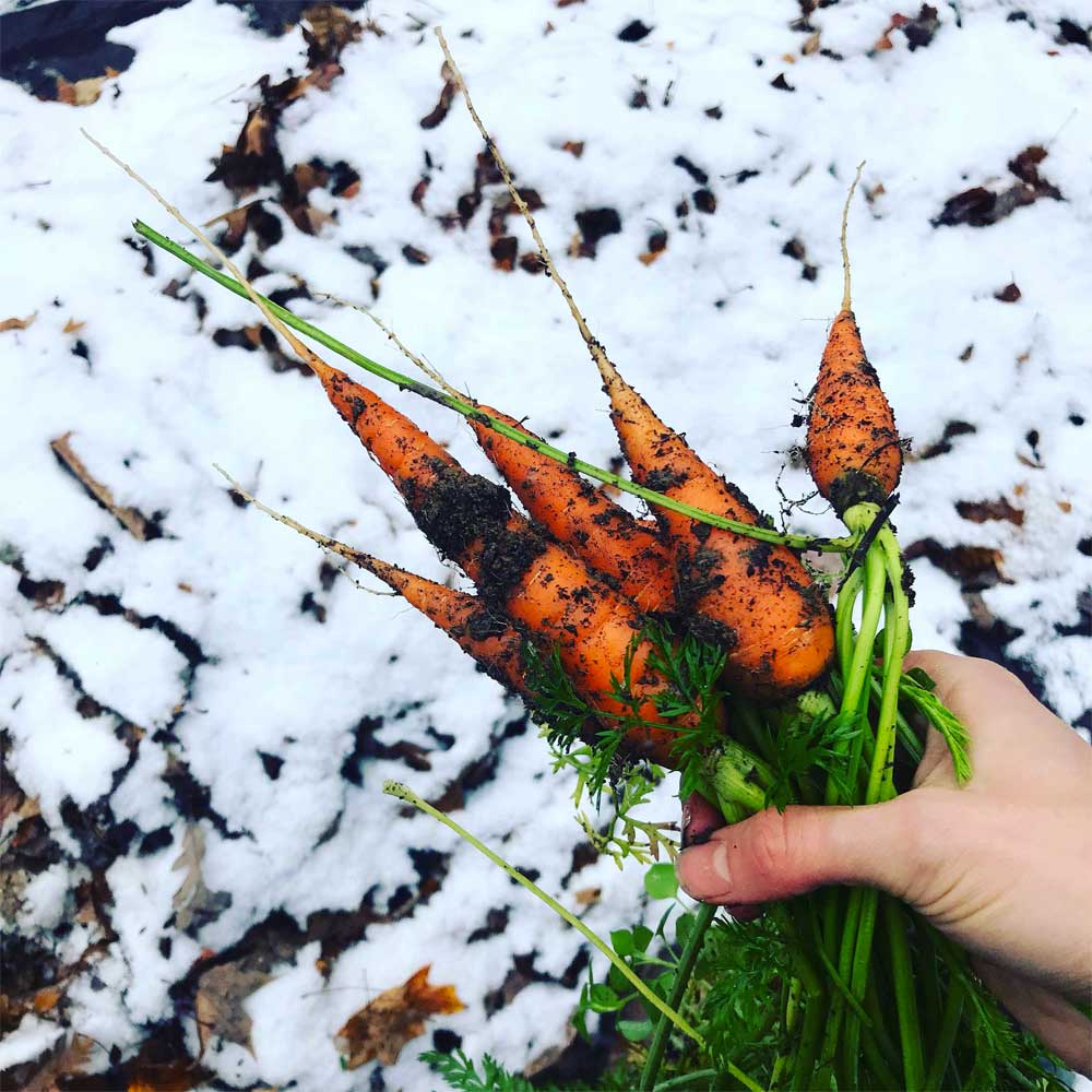 Wintermix Compost Garden Mulch