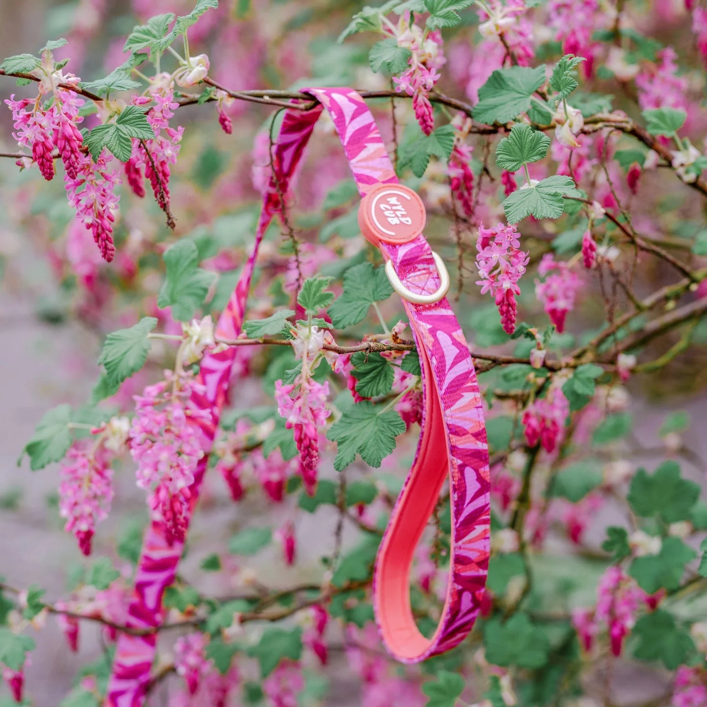 Wyld Cub - Dog Lead: Kew Honeysuckle