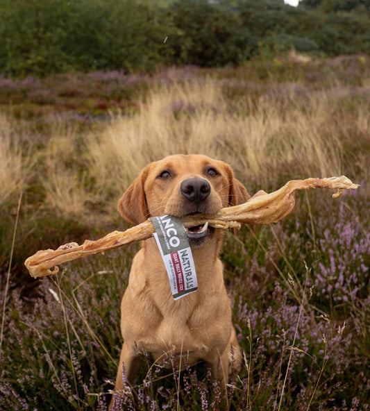 Anco Naturals Giant Pork Roll - North East Pet Shop Anco.