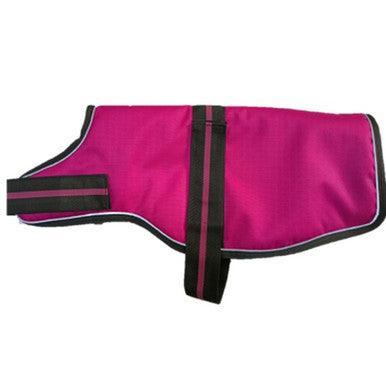 Animate Dachshund Padded Raspberry Dog Coat with adjustable belly strap 17Inch - North East Pet Shop Animate
