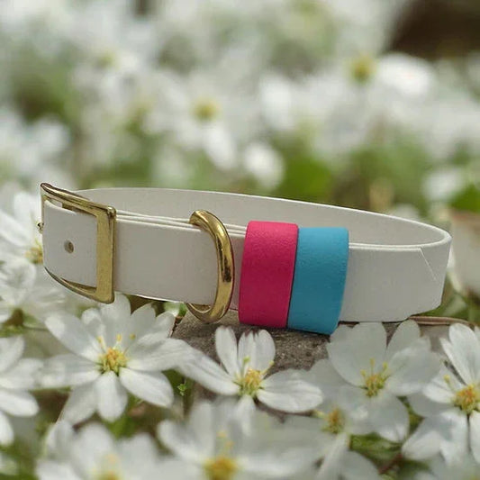 Classic Biothane with double keep - Handmade Classic Biothane Dog Collar
