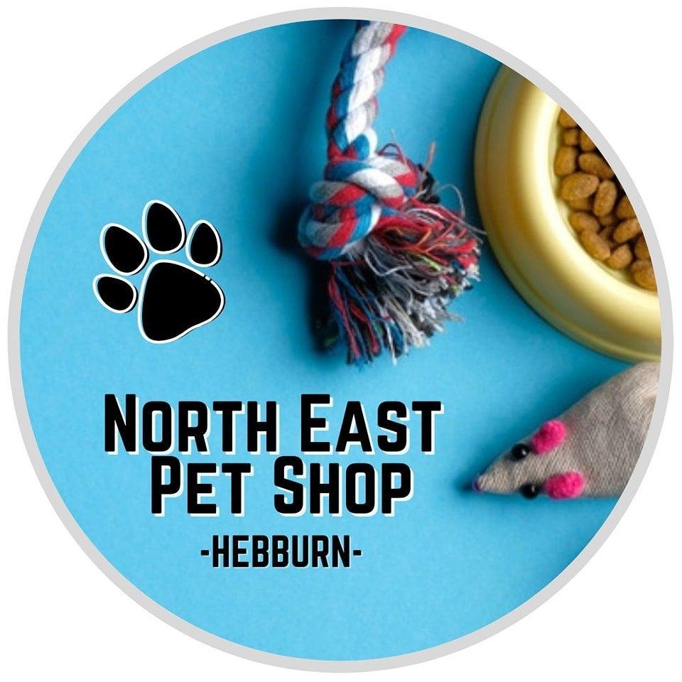 Beaks Asst Regular Toys - North East Pet Shop Beaks