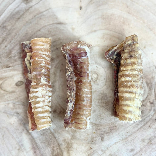 Nova Dog Chews Beef Trachea 12cm 1kg