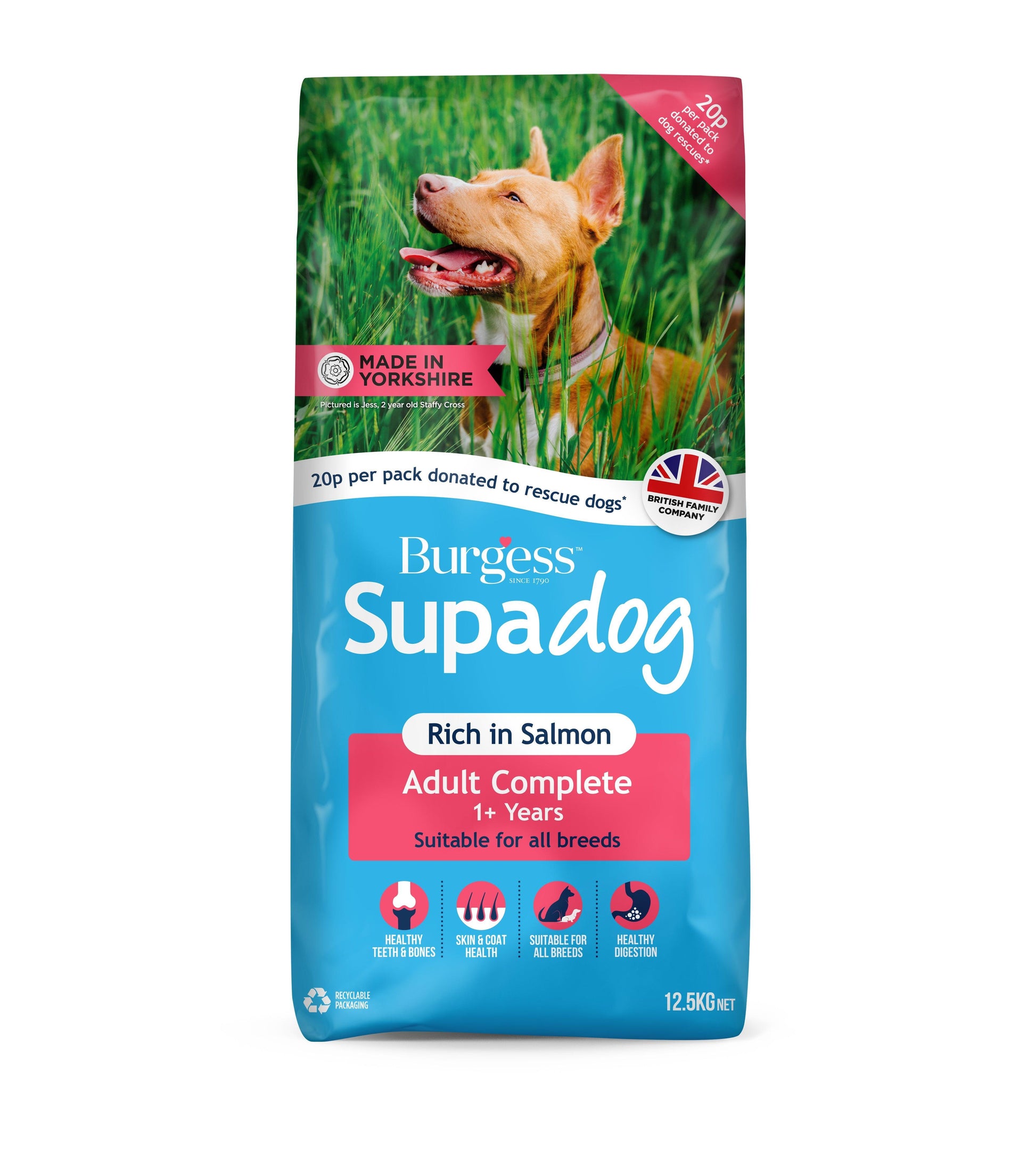 Burgess Supadog Adult Salmon - North East Pet Shop Burgess