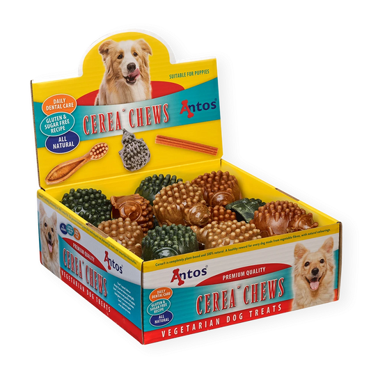 Antos Hedgehog Large (10cm) (Pack of 24)