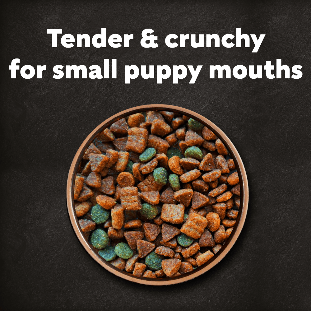 Cesar Dog Complete Dry Puppy with Chicken, Rice and Vegetables 1.4kg